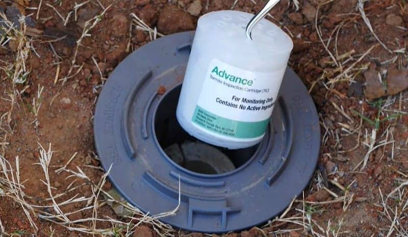 Advance Termite Bait System 